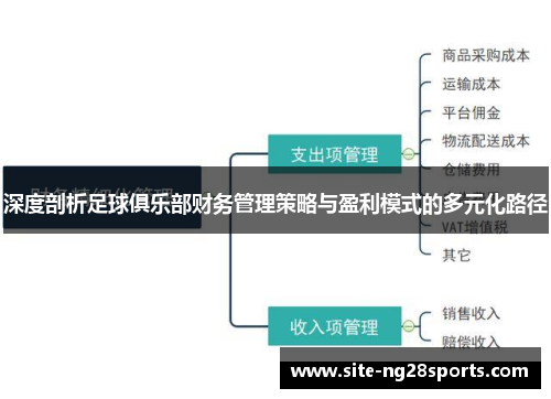 深度剖析足球俱乐部财务管理策略与盈利模式的多元化路径