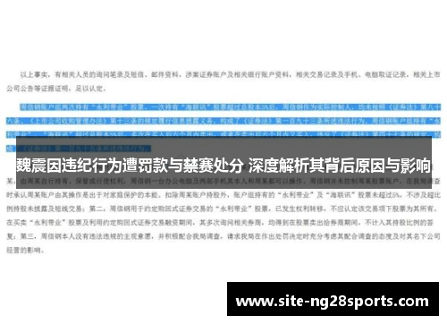 魏震因违纪行为遭罚款与禁赛处分 深度解析其背后原因与影响