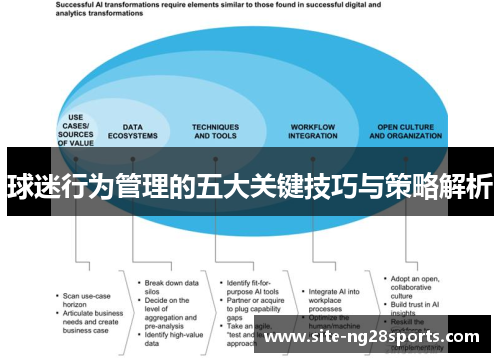 球迷行为管理的五大关键技巧与策略解析