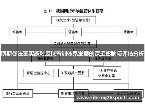 博斯曼法案实施对足球青训体系发展的深远影响与评估分析